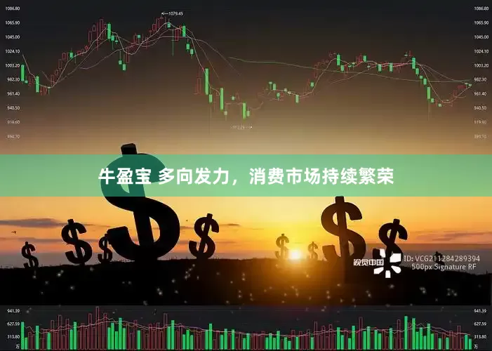 牛盈宝 多向发力，消费市场持续繁荣