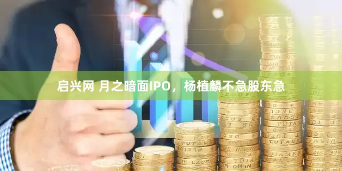 启兴网 月之暗面IPO，杨植麟不急股东急